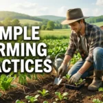 Simple farming practices every beginner can learn quickly image